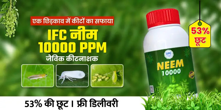 Hin_Neem_Oil_10000_572bd53f-c1fa-4b04-b088-68e3c0e617a9_1000x500