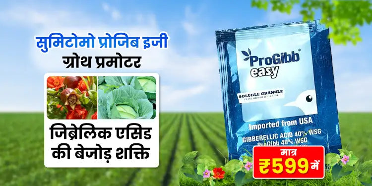 Hin_Sumitomo_Progibb_Easy_Gibberellic_Acid_40_ff472743-ddd1-4625-b8b2-b77ee7430bd9_1000x500
